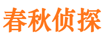 卢湾侦探公司